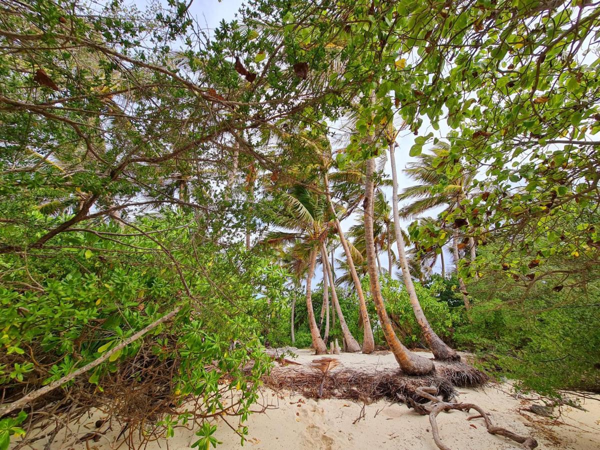 ホテルSama Garden Fehendhoo エクステリア 写真